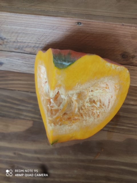 Courge Rouge d'Etampes